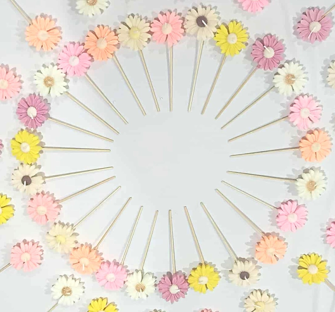 daisy daisy