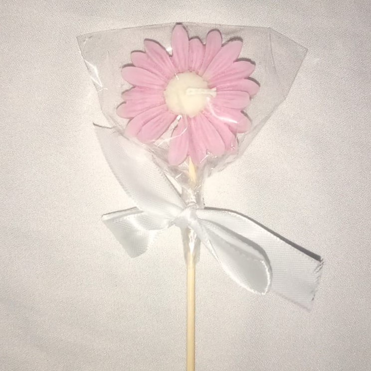 daisy daisy